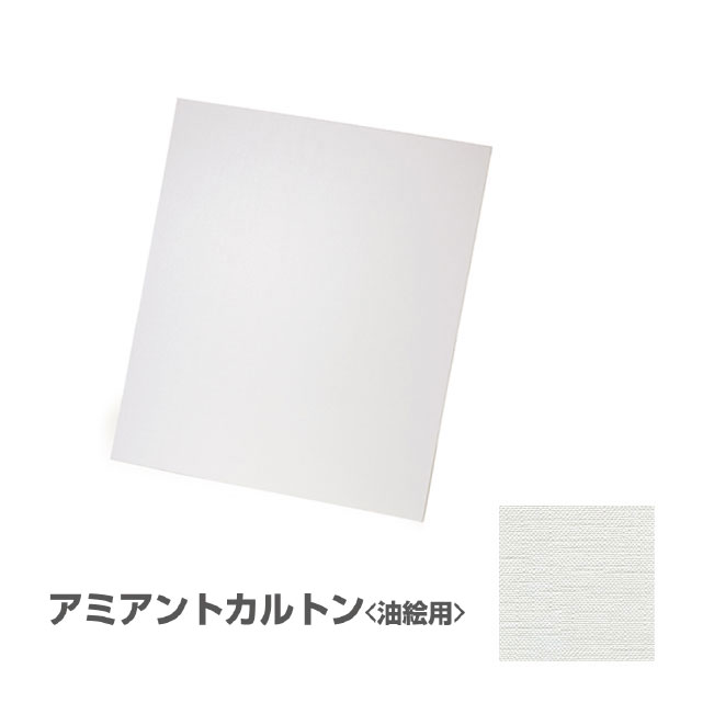 ホルベインアミアントカルトンＦ8油彩用