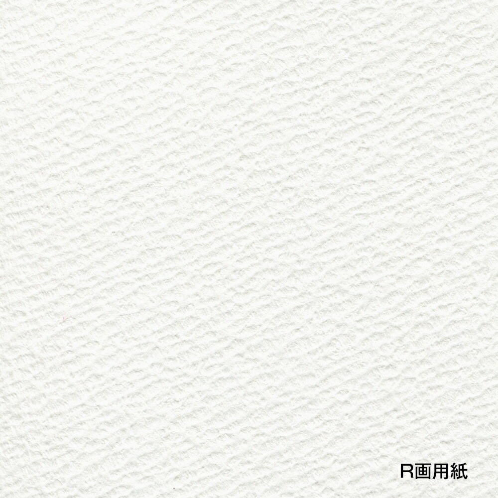 ホルベインDRAWING BOOKR画用紙スケッチブックスプリング No.30Ｆ5