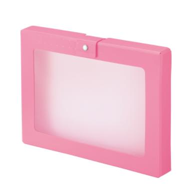 リヒトラブ CUBE FIZZ ハンドケース A4サイズ A-699