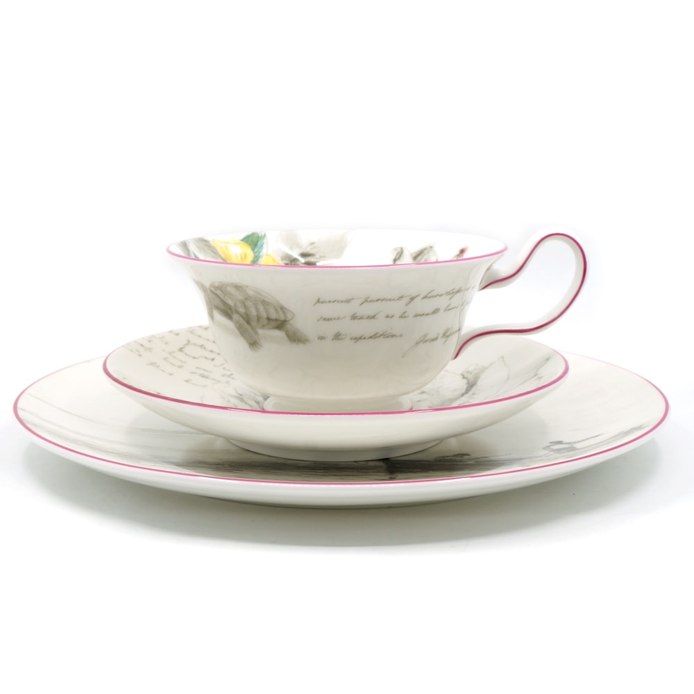 ڱɡۡWEDGWOODۥåå 1071814 䡼   ӡ 3ԡå ҥ եܡ㥤   ʪ ¾š 