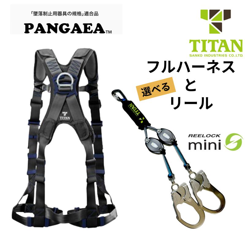タイタンフルハーネスとランヤードのセットです。