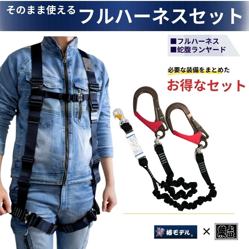 ペツル フルハーネス型墜落制止用器具セット フルハーネス型墜落制止用器具 ボルト 国際バージョン ワーク