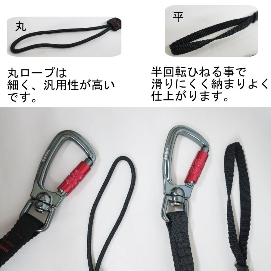 椿 椿 ツバキ 4号 ミセスD.W.デービス［こだわりの前田ナーセリー苗