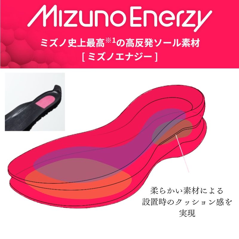 ミズノ 安全靴 F1GA240209