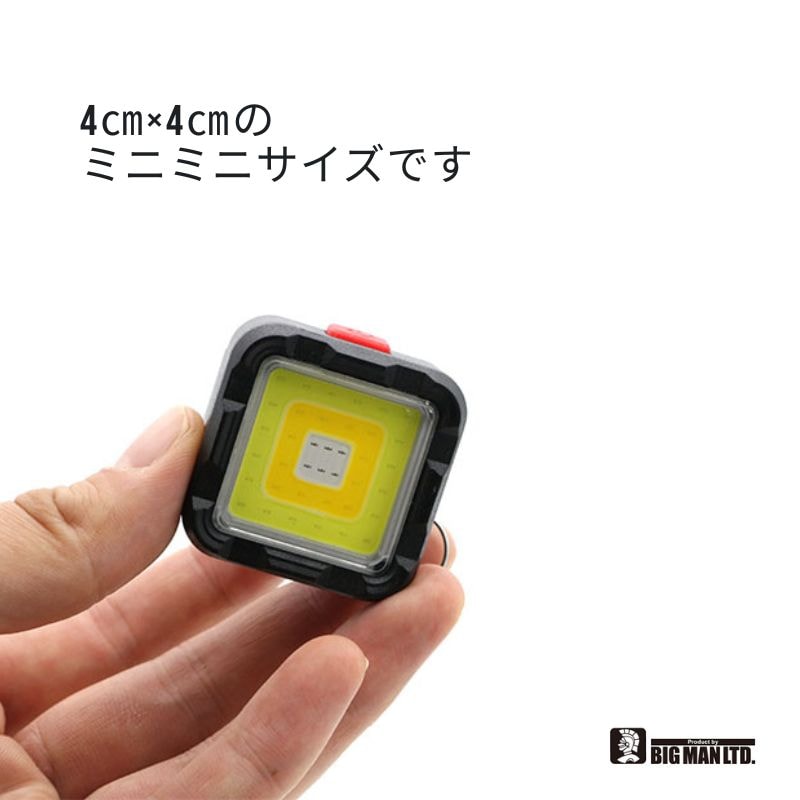 BIGMAN LEDミニミニポケットライト BPML-EVO 1000ルーメン充電式防水