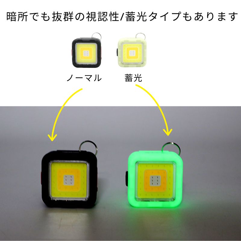 BIGMAN LEDミニミニポケットライト BPML-EVO 1000ルーメン充電式防水