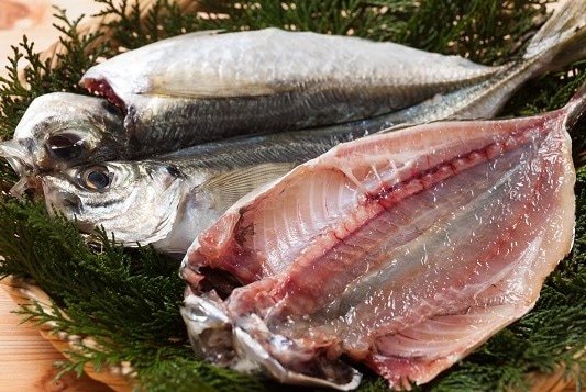 低温熟成無添加 真あじの干物｜博多ウエダのひもの通販｜九州の旬の