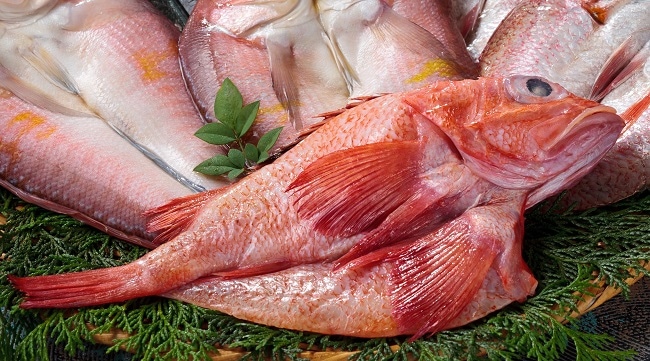 㲹̵ź ̳ƻ 󤭤δʪ3祻å