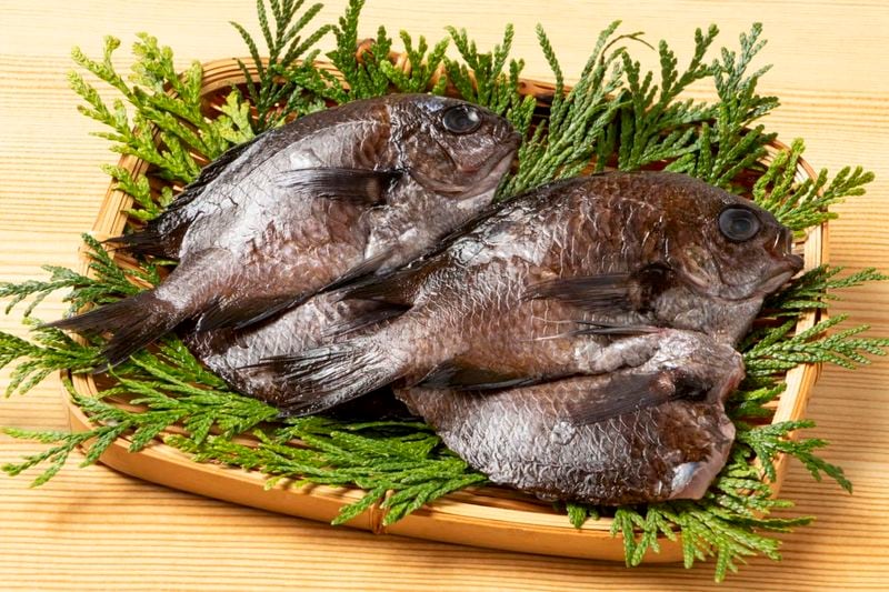 ܤ̣㲹̵ź ɤ֤äƤɤδʪʥ