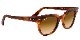 �쥤�Х� RayBan METEOR �ϥХʥ��ȥ饤��/�֥饦�󥰥�ǥ������ RB2168 954/51 50mm ������������Ź
