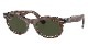 �쥤�Х� WAYFARER OVAL CHANGE COLLECTION RB2242F 138331 53mm �ե�ե��å� rayban ray-ban �������ե����顼 �����Х� ������ ���쥯�����