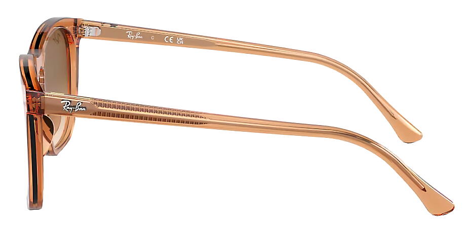 �쥤�Х� RayBan RB2210F 676451 53mm �ȥ�󥹥ڥ����ȥ֥饦��/���ꥢ����ǥ�����ȥ֥饦��