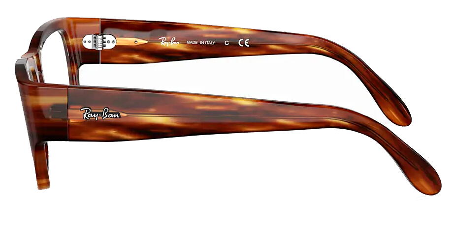 쥤Х RayBan NOMAD WAYFARER ᥬͥե졼 RX5487F 2144 54mm ȥ饤ץɥϥХʡŹ