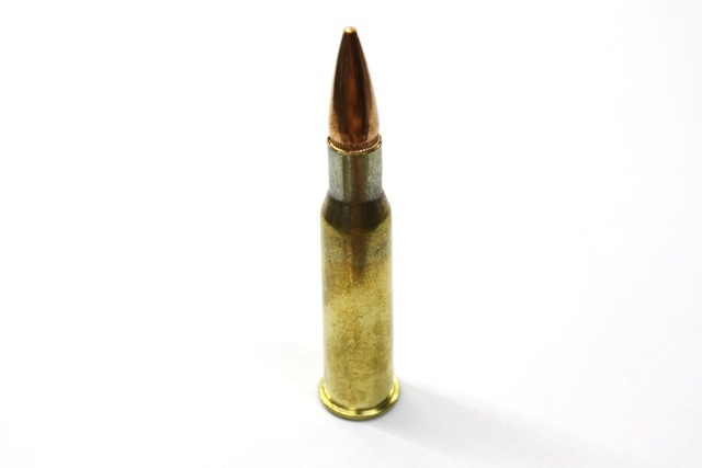 �ۥ��� ���ߡ������� 7.62x54R