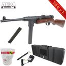 �ڥ��ꥹ�ޥ�BOX��AGM MP41 ��ư���� �ꥢ�륦�åɡڹ��6�����åȡ�