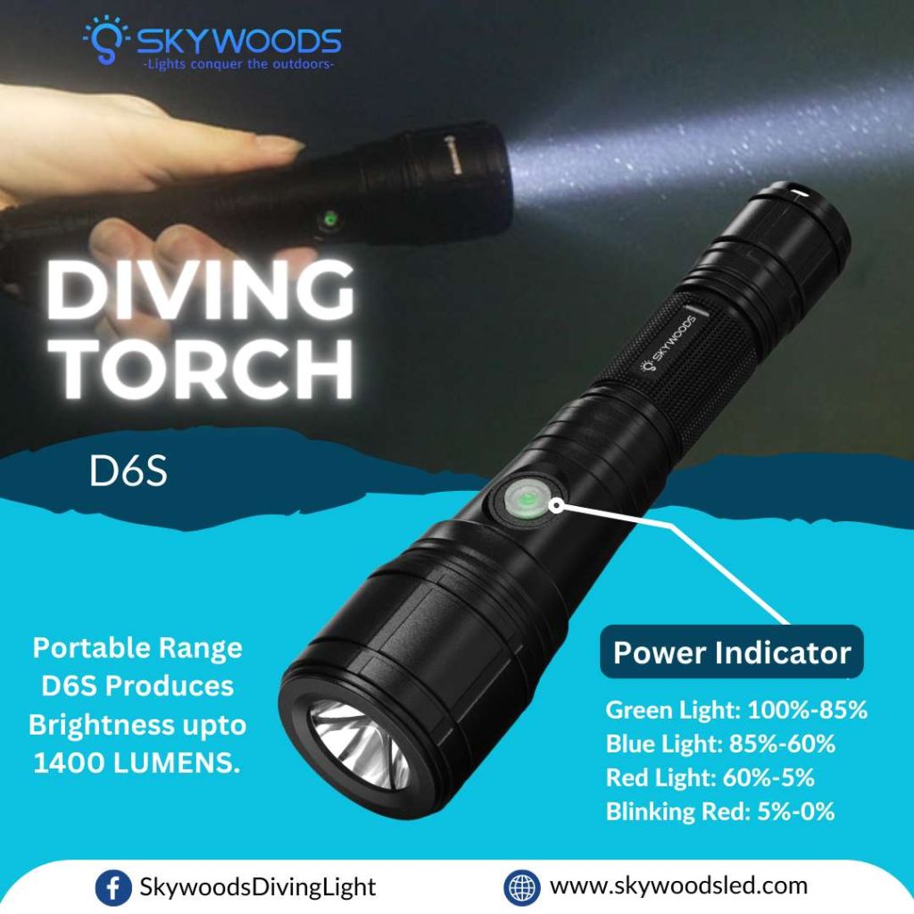 SKYWOODS D6S �����ӥ� �ե�å���饤��