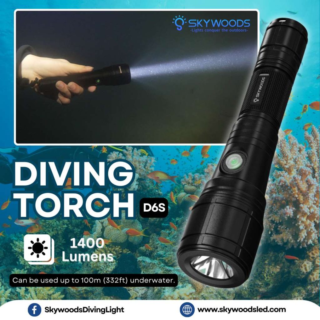 SKYWOODS D6S �����ӥ� �ե�å���饤��