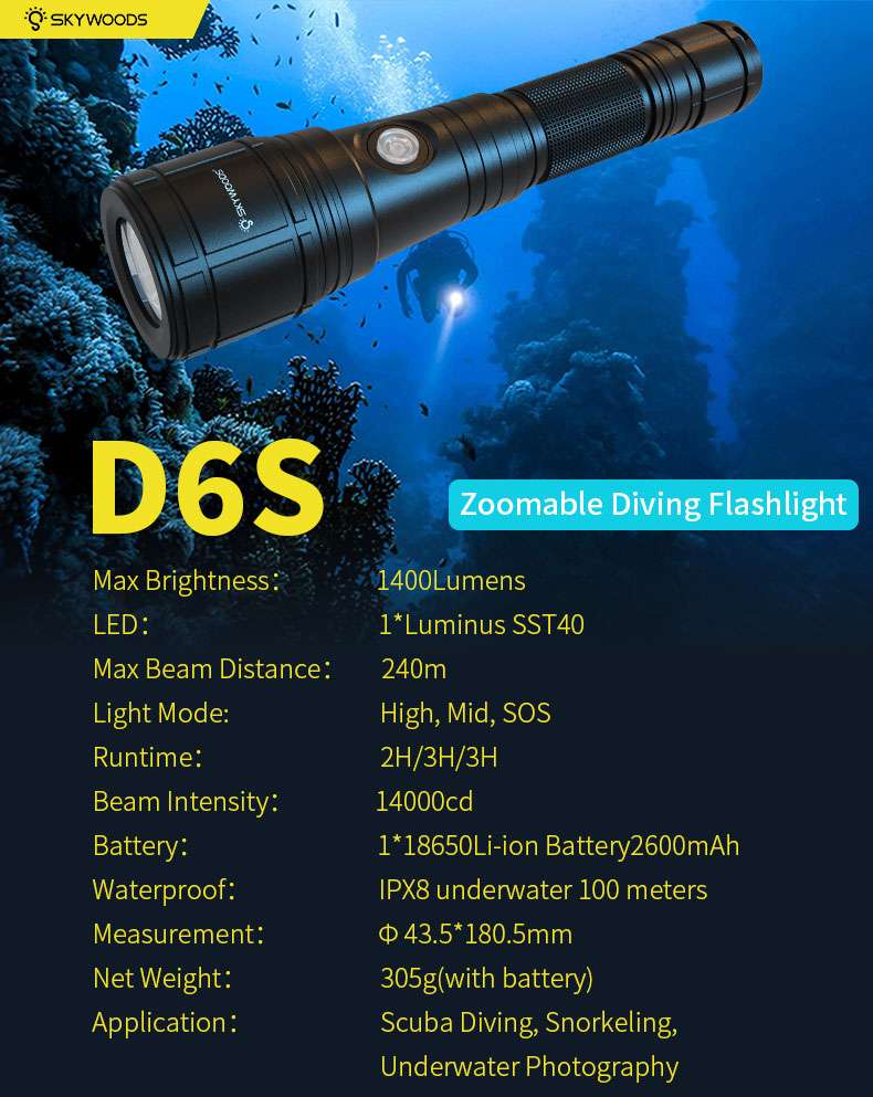 SKYWOODS D6S �����ӥ� �ե�å���饤��