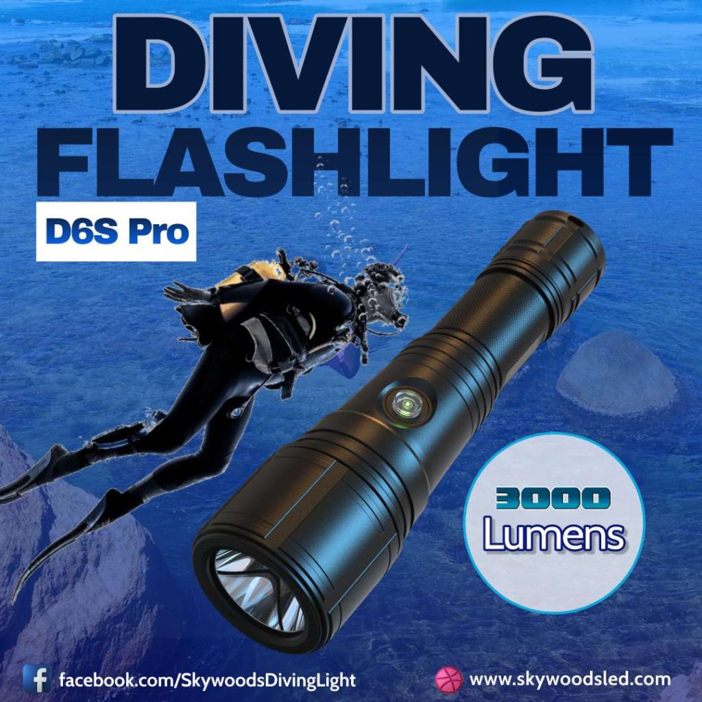 SKYWOODS D6S Pro �����ӥ� �ե�å���饤��