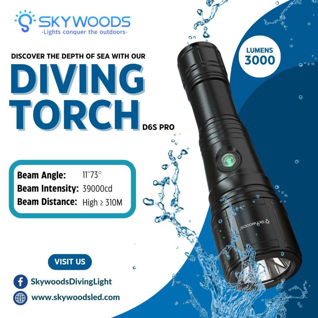 SKYWOODS D6S Pro �����ӥ� �ե�å���饤��