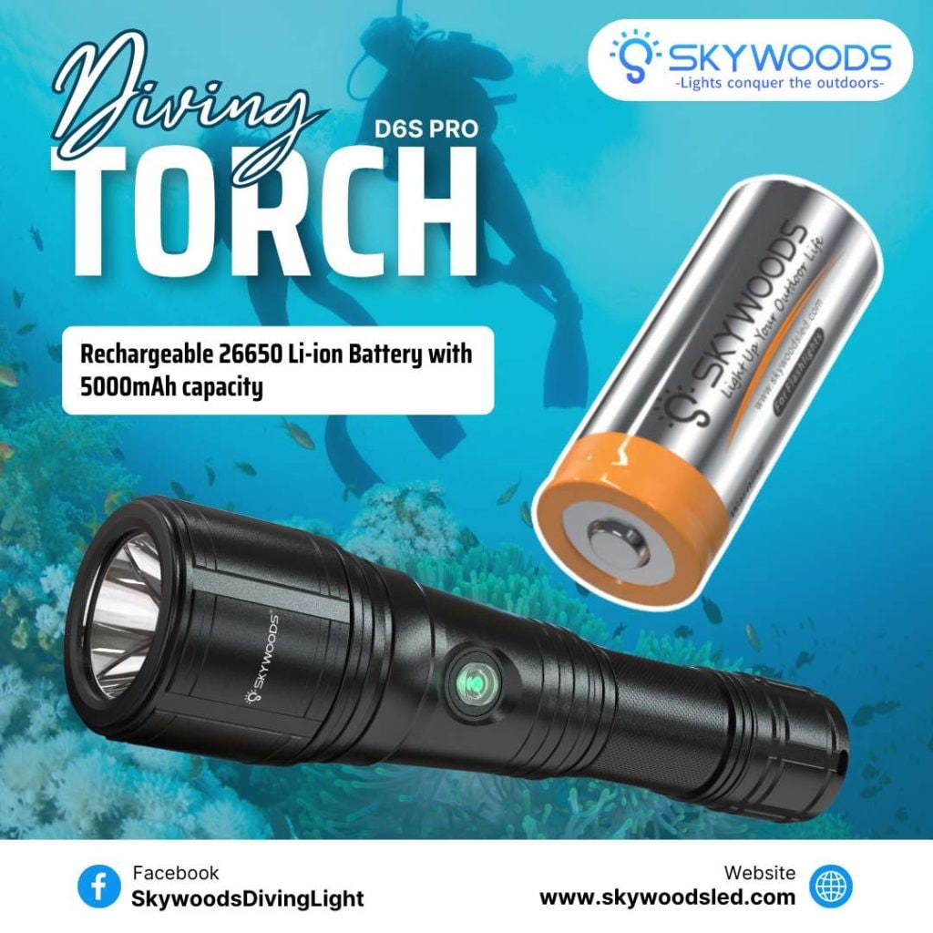 SKYWOODS D6S Pro �����ӥ� �ե�å���饤��