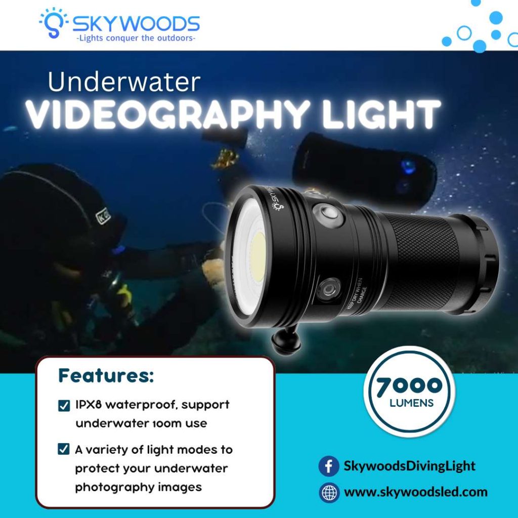 �ڷ�֥�����40��OFF����SKYWOODS WVL7000 �����ӥ� �ե�å���饤��