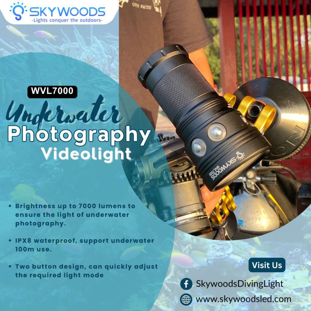 �ڷ�֥�����40��OFF����SKYWOODS WVL7000 �����ӥ� �ե�å���饤��