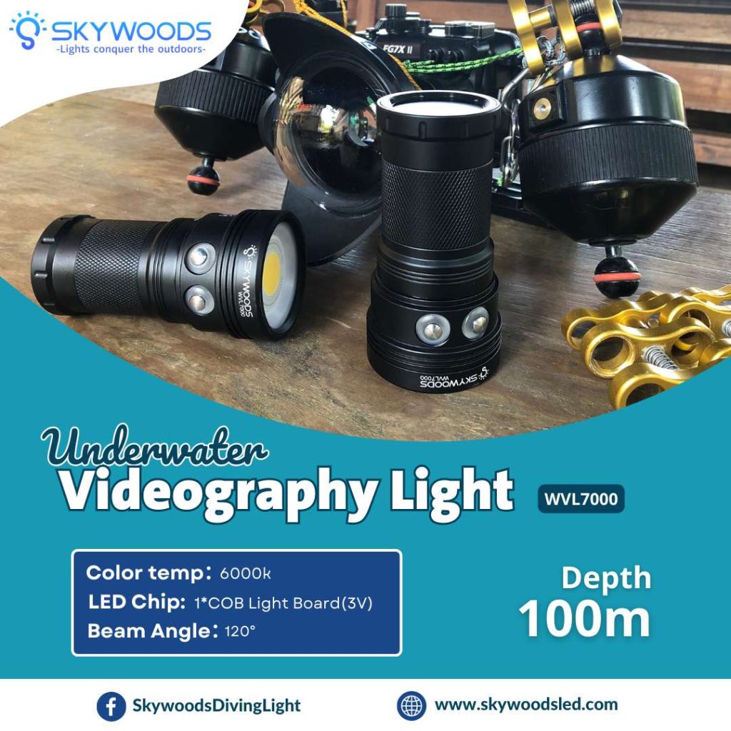 �ڷ�֥�����40��OFF����SKYWOODS WVL7000 �����ӥ� �ե�å���饤��