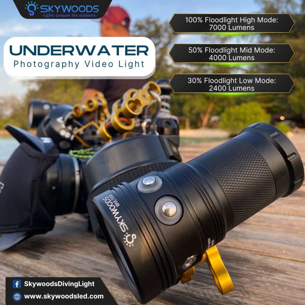 �ڷ�֥�����40��OFF����SKYWOODS WVL7000 �����ӥ� �ե�å���饤��
