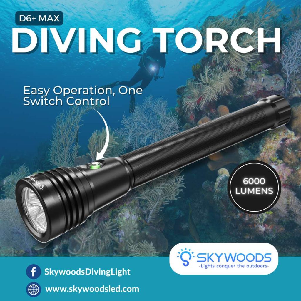 �ڷ�֥�����40��OFF����SKYWOODS D6+ MAX  �����ӥ� �ե�å���饤��