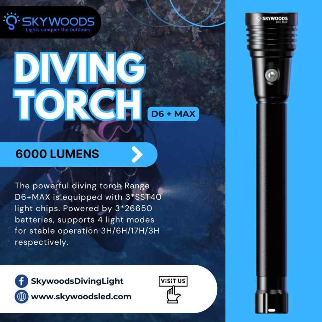 �ڷ�֥�����40��OFF����SKYWOODS D6+ MAX  �����ӥ� �ե�å���饤��