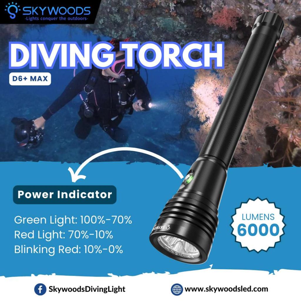 �ڷ�֥�����40��OFF����SKYWOODS D6+ MAX  �����ӥ� �ե�å���饤��