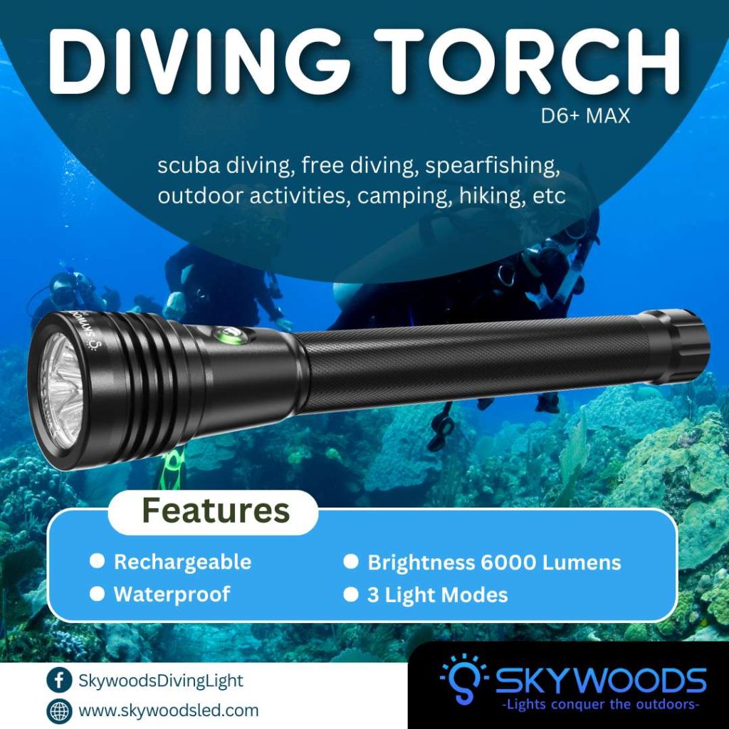 �ڷ�֥�����40��OFF����SKYWOODS D6+ MAX  �����ӥ� �ե�å���饤��