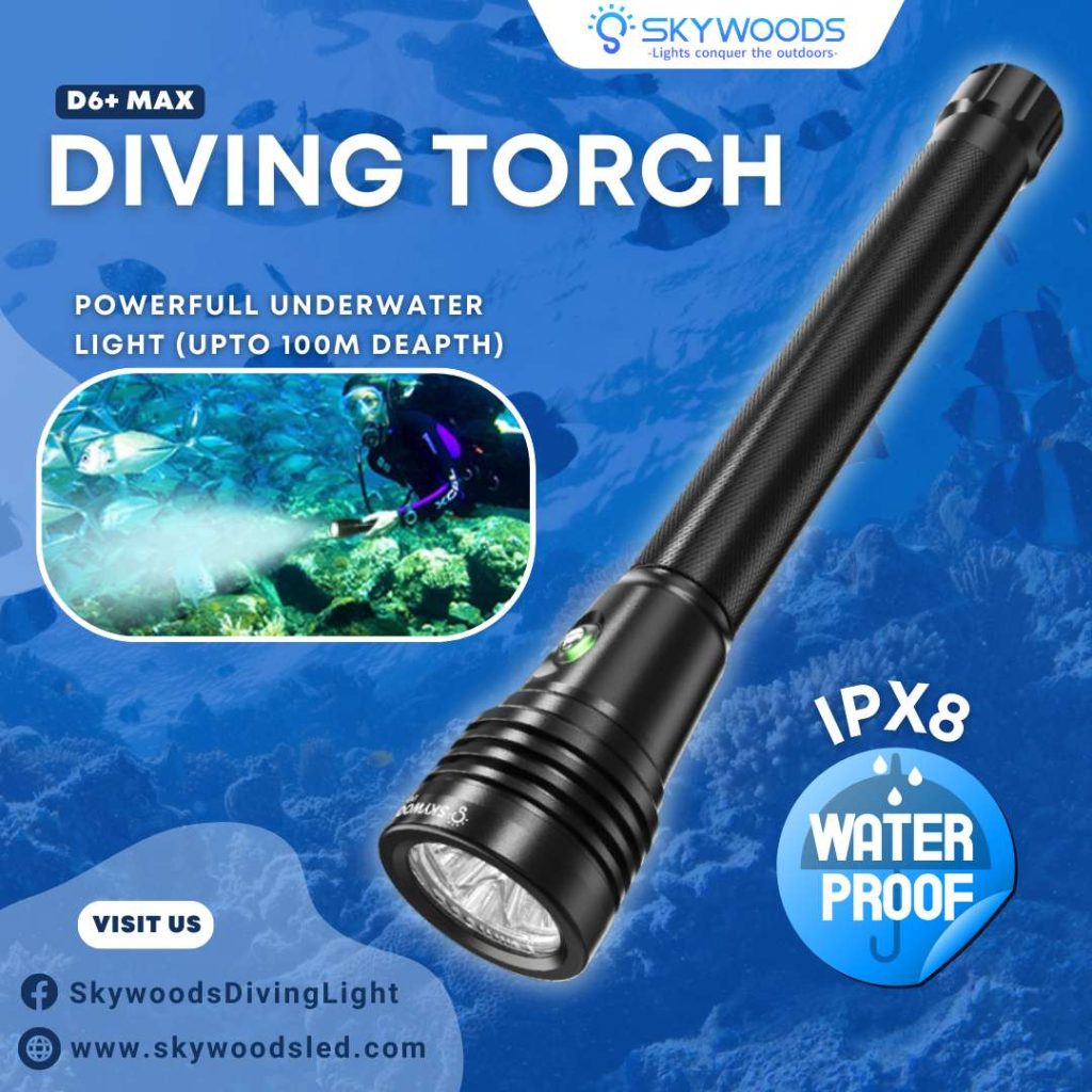 �ڷ�֥�����40��OFF����SKYWOODS D6+ MAX  �����ӥ� �ե�å���饤��