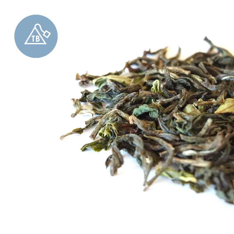 �ƥ����Хå� ����