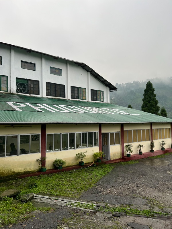 ��������� �ԥ奰����� DJ-103 2025ǯ������ɥե�å���