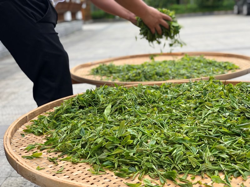 �������ȥ쥾��