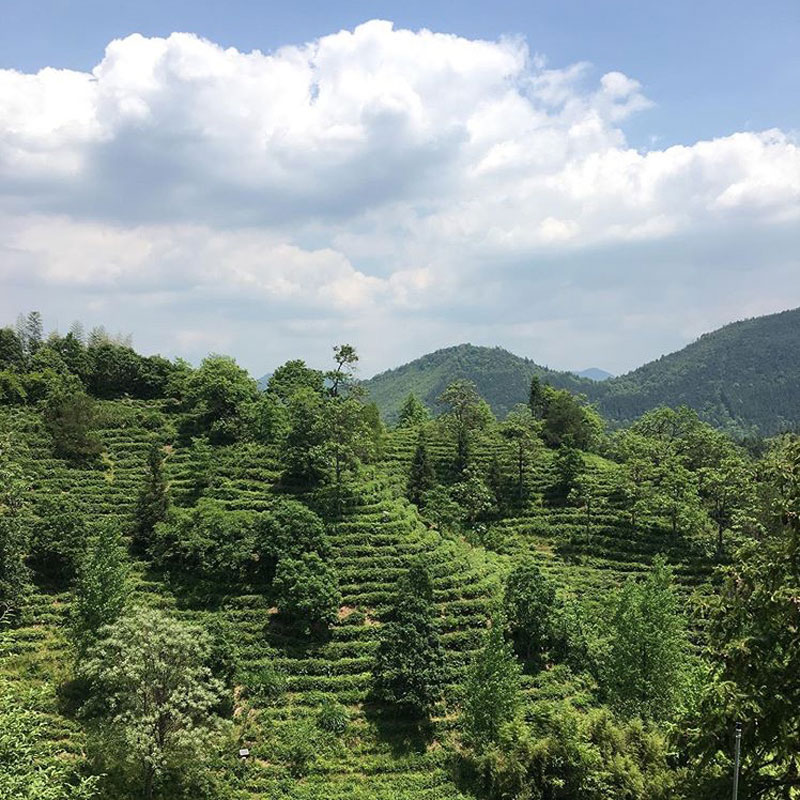 �������ȥ쥾��