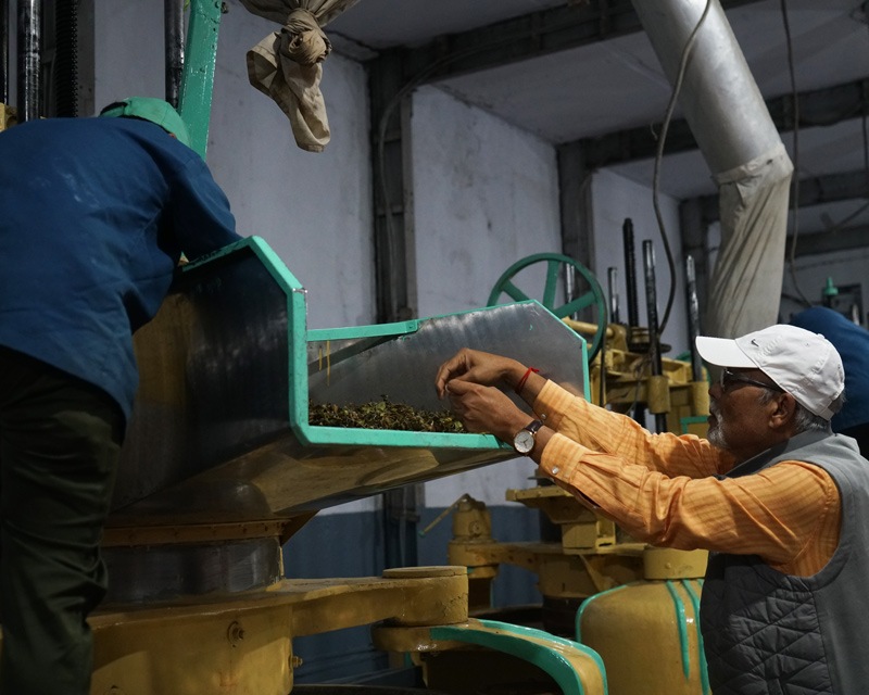 ��������� ���륶��ӥ塼�ƥ��� 2025ǯ������ɥե�å���ʥ��륶������