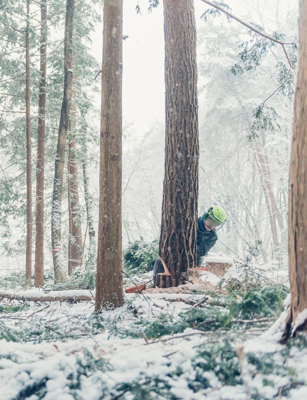 �������� Shiki �ڤ��㡦�ϡ��֥ƥ���2160�߰ʾ�Ȥ��㤤��碌�оݾ��ʡ�