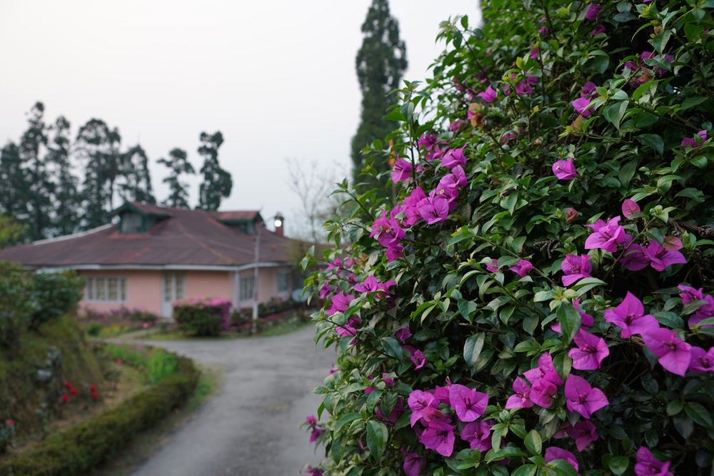 ���֥�ǥ����������