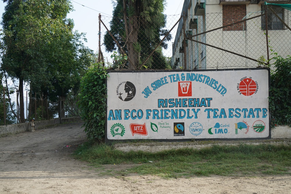 ���֥�ǥ����������