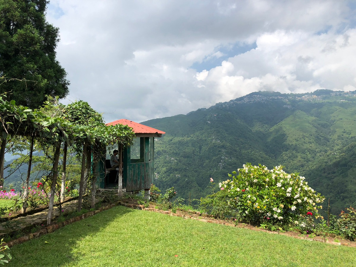 ���֥�ǥ����������