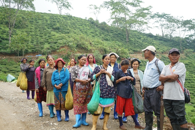 ��������� ���ޥӥ������DJ-70 2025ǯ������ɥե�å���