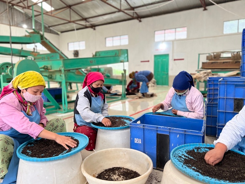 ��������� ���ޥӥ������DJ-70 2025ǯ������ɥե�å���