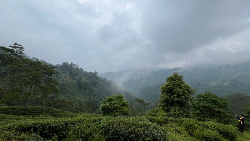 ��������� ���ޥӥ������EX-30 2025ǯ������ɥե�å���