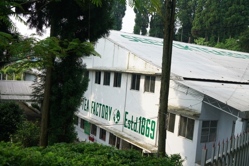 ��������� ������å����DJ-64 2025ǯ������ɥե�å���