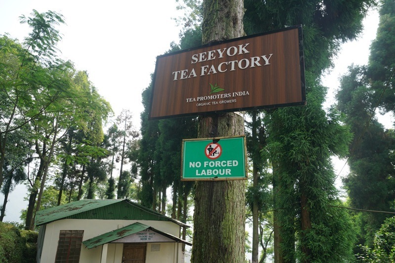 ��������� ������å����DJ-64 2025ǯ������ɥե�å���