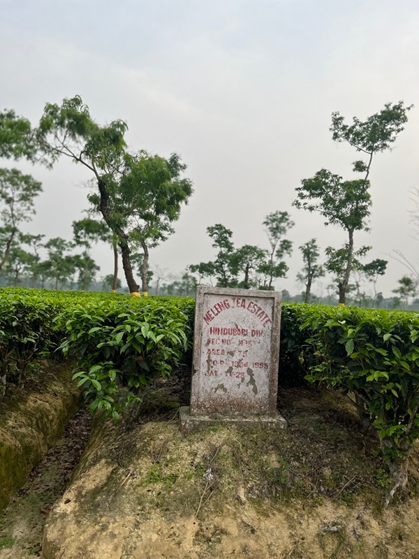 륢Хȥޥ Vol.12ڥƥեȥå  25g