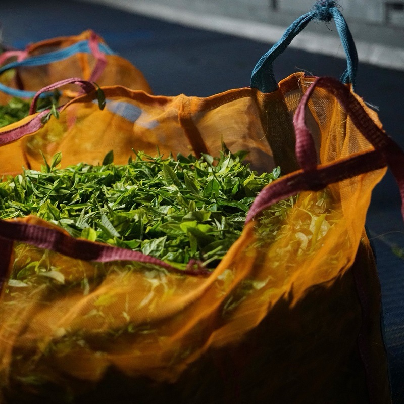 륢Хȥޥ Vol.12ڥƥեȥå  25g